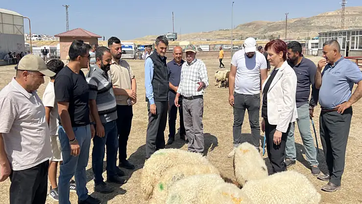 Şişman, hayvan satış yerlerinde denetimlerde bulundu