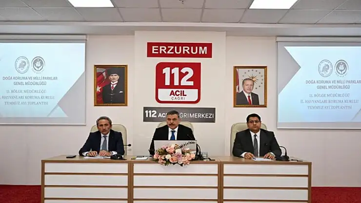 Sokak hayvanları mercek altında