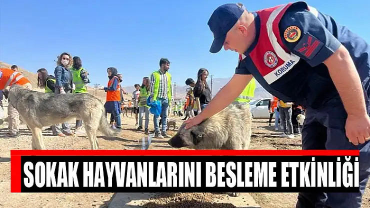 Sokak hayvanlarını besleme etkinliği