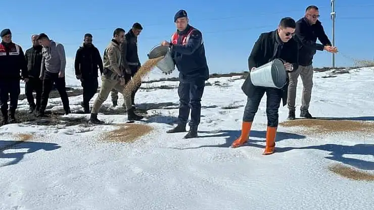 Sokak ve yaban hayvanları için yem bırakıldı