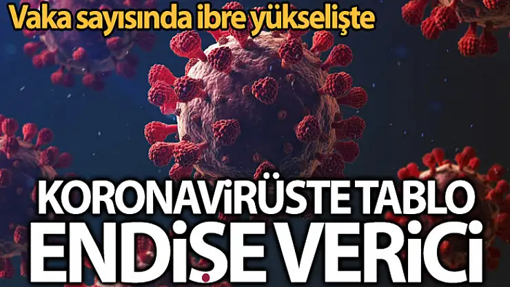 Son 24 saatte korona virüsten 137 kişi hayatını kaybetti