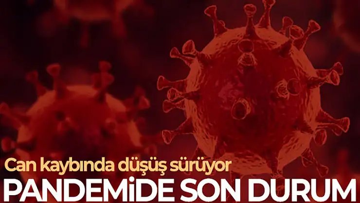 Son 24 saatte korona virüsten 36 kişi hayatını kaybetti