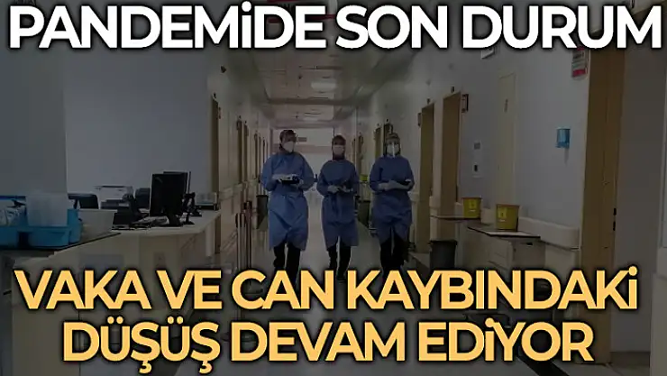 Son 24 saatte korona virüsten 77 kişi hayatını kaybetti