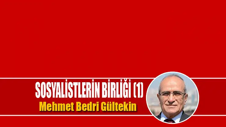 Sosyalistlerin Birliği (1)