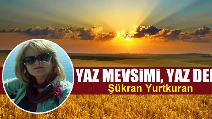 Yaz Mevsimi, Yaz Dedi