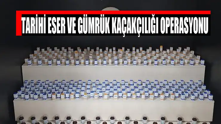 Tarihi eser ve gümrük kaçakçılığı operasyonu