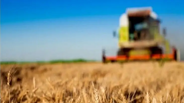 Tarım-GFE yıllık yüzde 28,92 arttı