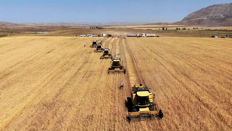 Tarım-GFE yıllık yüzde 29,73 arttı