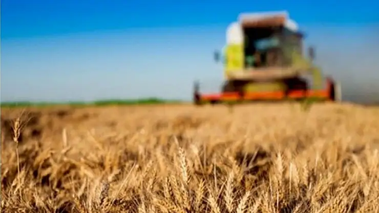 Tarım-GFE yıllık yüzde 31,80 arttı