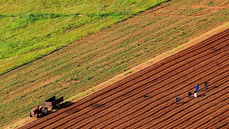 Tarım-GFE yıllık yüzde 31,83 arttı