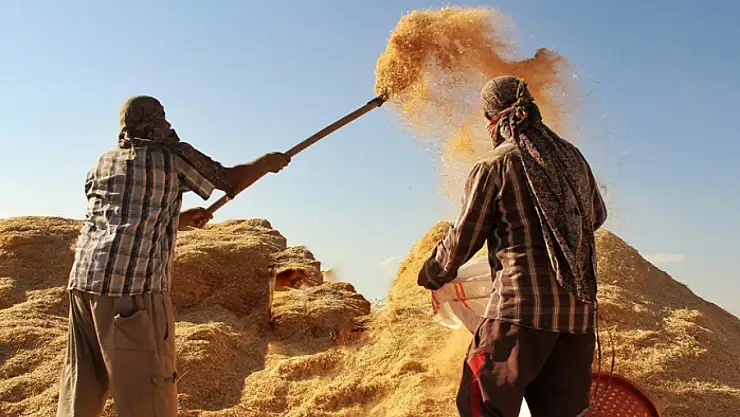 Tarım-GFE yıllık yüzde 34,60 arttı