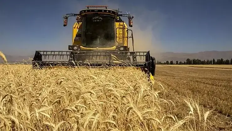 Tarım-ÜFE Mayıs'ta yıllık yüzde 61,24 arttı