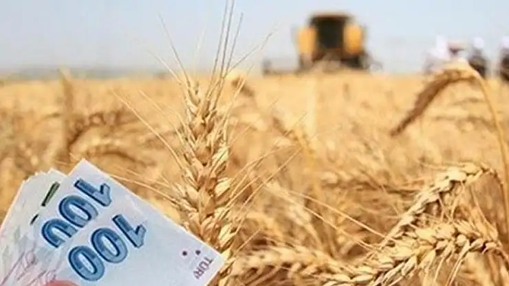 Tarımsal sanayi projelerine hibe desteği