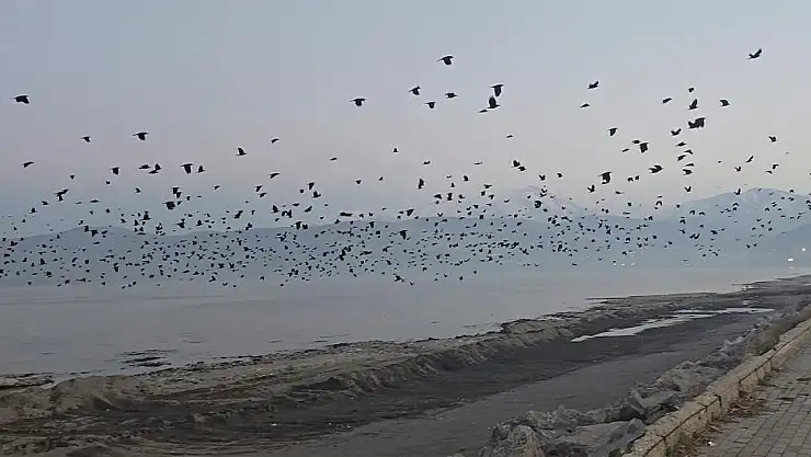 Tatvan sahilinde gökyüzünde sıra dışı manzara