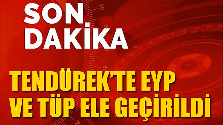 Tendürek'te EYP ve tüp ele geçirildi