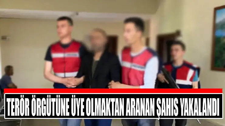 Terör örgütüne üye olmaktan aranan şahıs yakalandı
