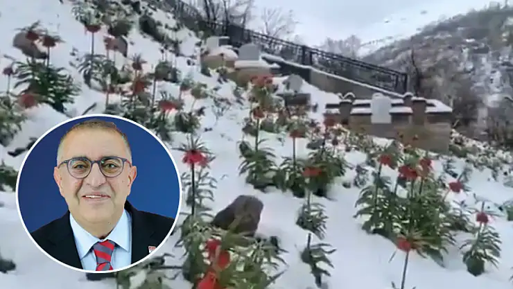 Ters Lale: Bahçesaray'ın Hüzün Çiçeği
