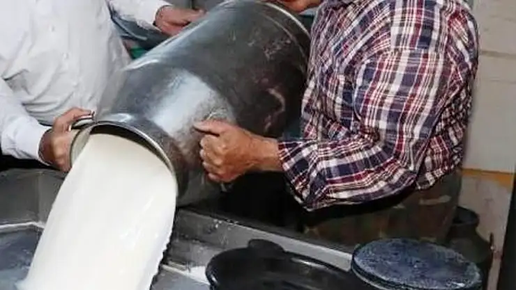 Ticari süt işletmelerince 1 milyon 15 bin 647 ton inek sütü toplandı