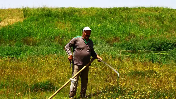 Tırpanın son ustası