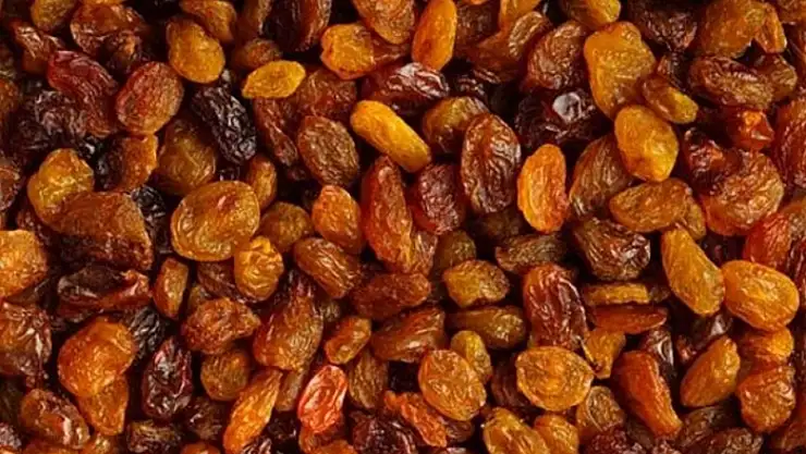 TMO çekirdeksiz kuru üzüm alım fiyatını açıkladı