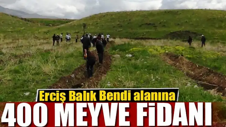 Erciş Balık Bendi alanına 400 meyve fidanı