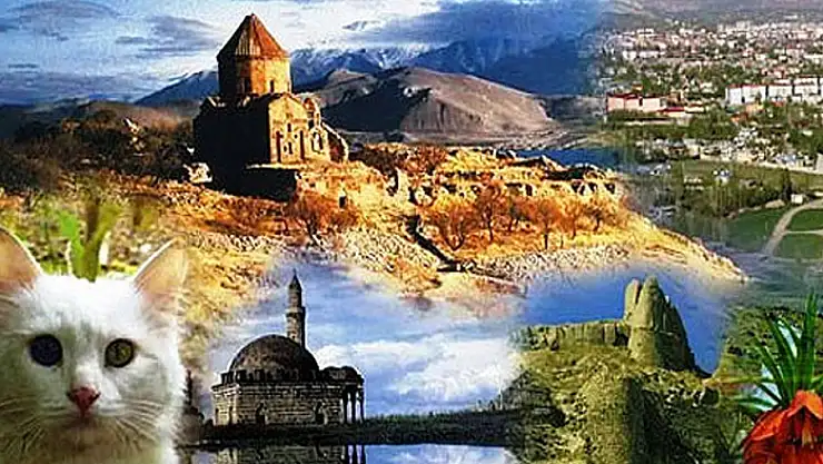 Tunçdemir: Van'da 'Urartu' ismini iyi değerlendirmeliyiz