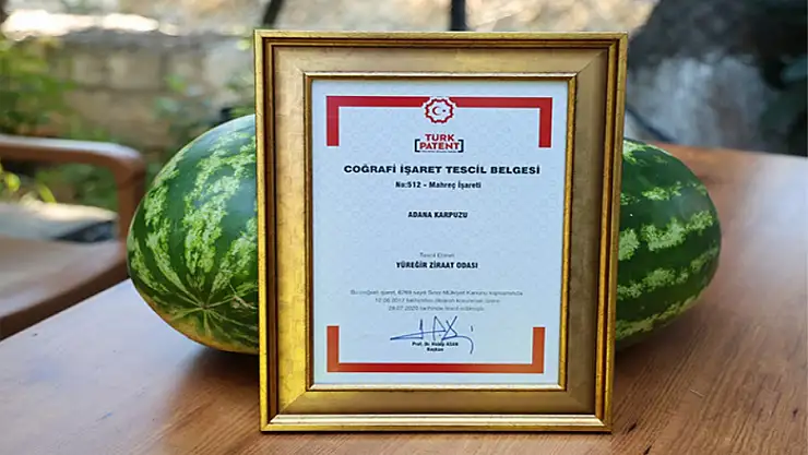Türkiye'nin en iyi karpuzu tartışmaları sürüyor