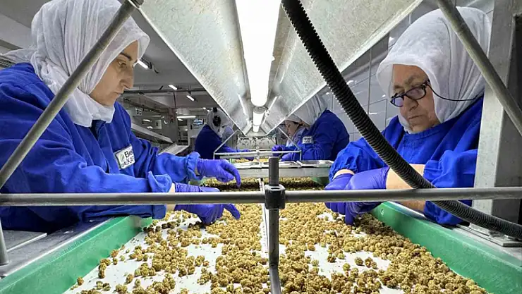 Türkiye organik ürün ihracatında 1 milyar dolar sınırını aştı