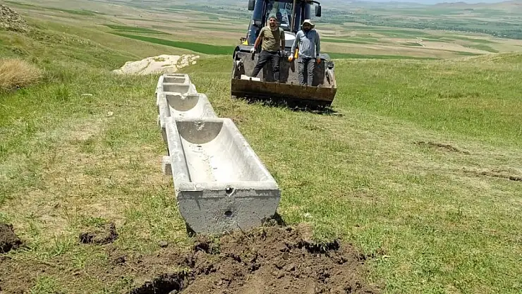 Tuşba 'da hayvancılığa destek çalışmaları