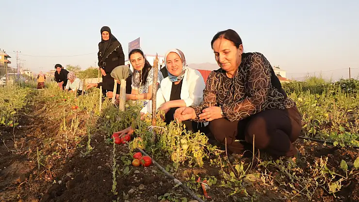 Tuşba'da kadın kent bostanı ürün vermeye başladı