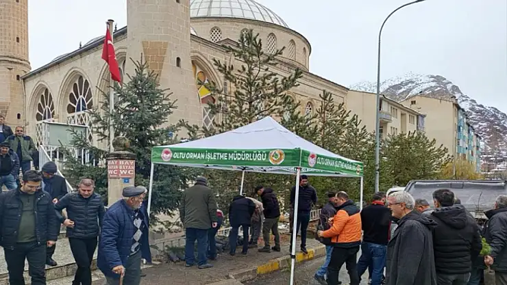Ücretsiz fidan dağıtımı yapıldı