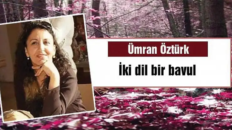 İki dil bir bavul
