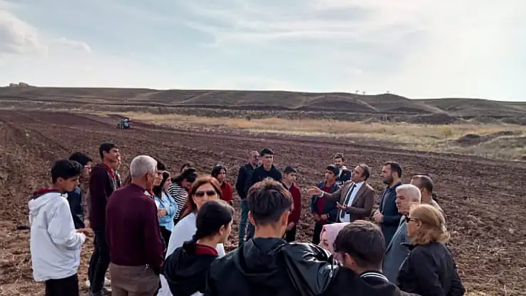 'Ümranhanım Tritikale' buğday çeşidi çiftçilerin yüzünü güldürecek