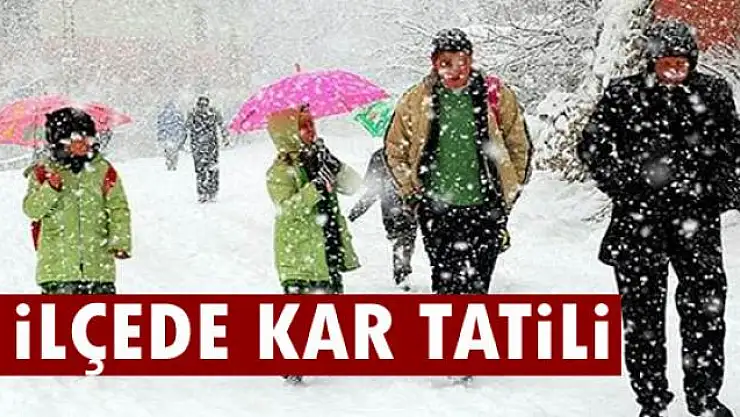 Van'da 4 ilçede okullar tatil edildi
