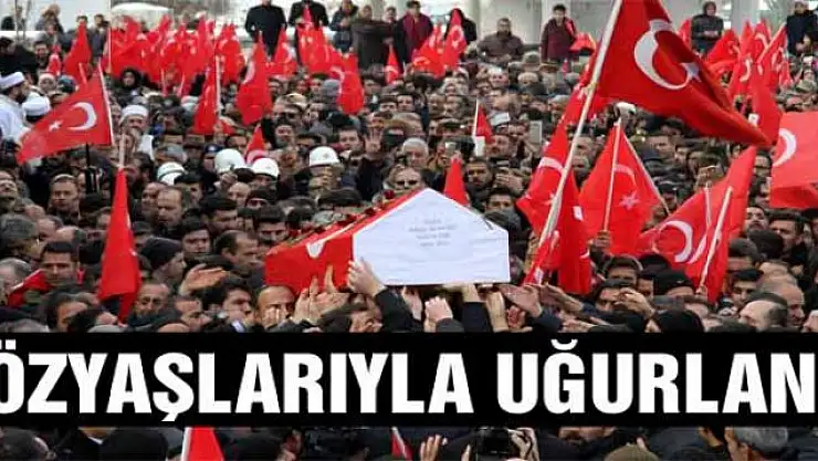 Van şehidini gözyaşlarıyla uğurluyor