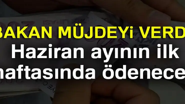 Bakan açıkladı! Haziran ayının ilk haftasında ödenecek