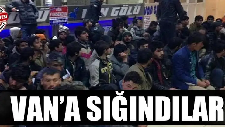 Van'a Sığındılar