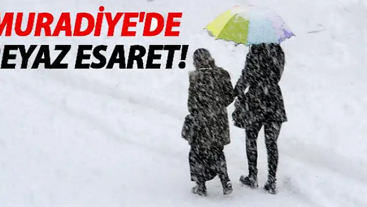 Muradiye'de kar yağışı
