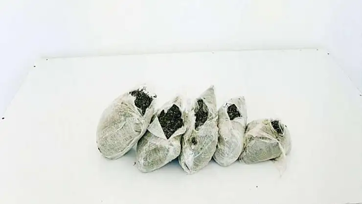 Uyuşturucu operasyonu: 4 gözaltı