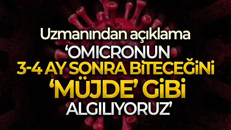 Uzmanlar, Kovid-19'un birkaç ay içerisinde biteceğini öngörüyor