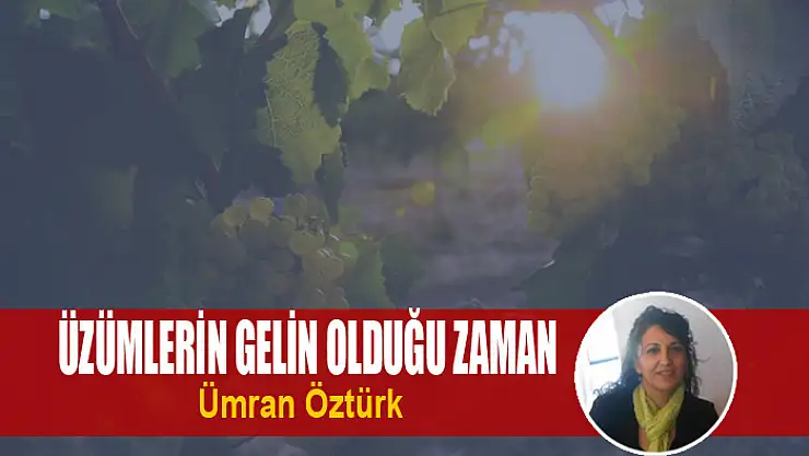Üzümlerin Gelin Olduğu Zaman