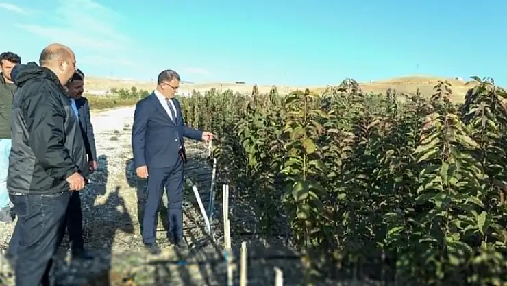 Vali Balcı: 2 milyon 700 bin fidan toprakla buluşacak