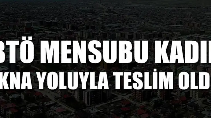 BTÖ mensubu kadın ikna yoluyla teslim oldu