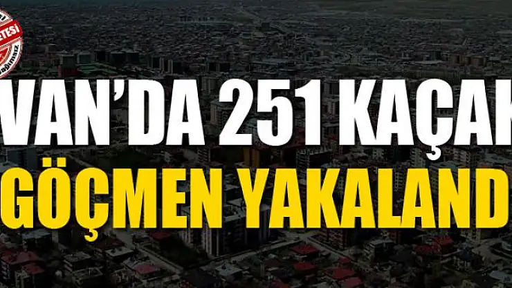 Van'da 251 kaçak göçmen yakalandı