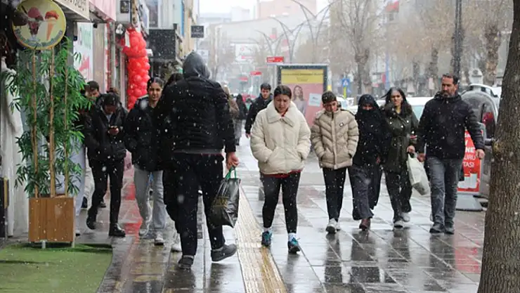 Van'a lapa lapa kar yağdı