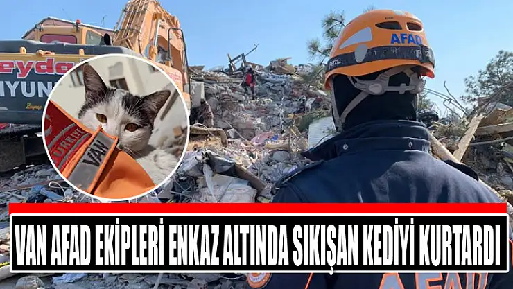 Van AFAD ekipleri enkaz altında sıkışan kediyi kurtardı