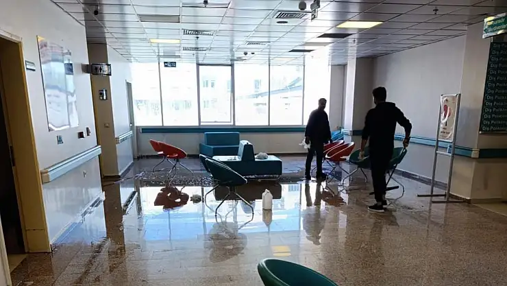 Van Ağız ve Diş Sağlığı Merkezi'nde temizlik çalışması yapıldı