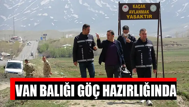 Van Balığı göç hazırlığında