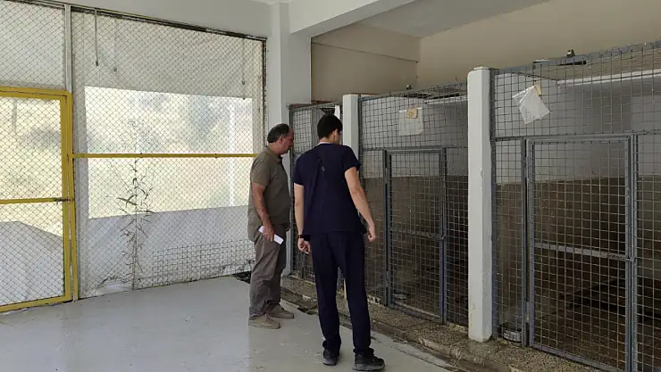 Van Büyükşehir Belediyesi geçici hayvan bakımevi denetlendi