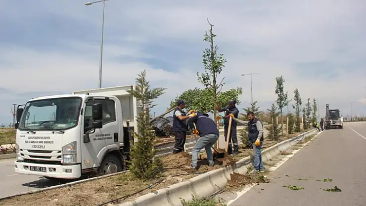 Van Büyükşehir'den sahil yolunda çalışma